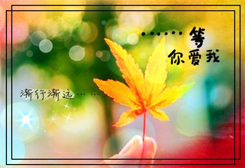 520自己一个人的说说 适合在520发的单身说说