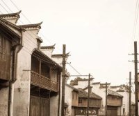金鲤鱼的百裥裙｜林海音