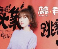 《跳舞吧!大象》:被生活揍趴下的时候,请努力站起来。
