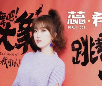 《跳舞吧!大象》:被生活揍趴下的时候,请努力站起来。