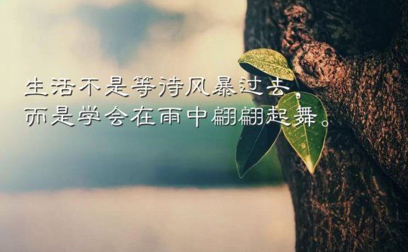 早安心语优美的有哲理的短句让你早晨正能量满满