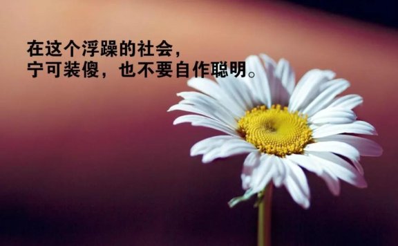 朋友圈早安走心的经典正能量说说语录早安发朋友圈的说说句子