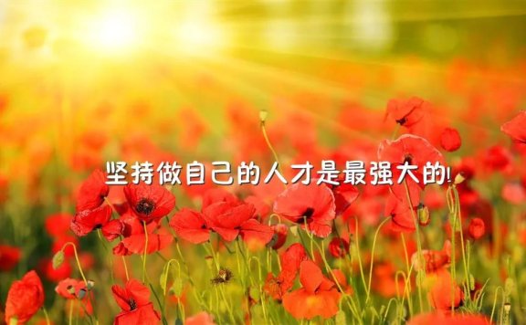 12月最新早安心语满满正能量为你带来不一样的十二月