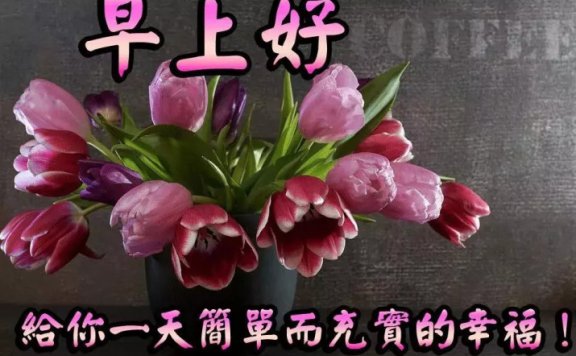 早上好图片最美最温馨，特别漂亮的早上好图片