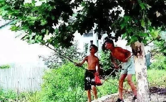 20年前没空调,我们是这样过夏天的,看哭所有人
