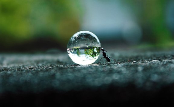 和菜头:拥有梦想的人不做选择题,他们只做证明题
