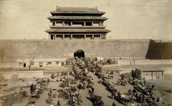 北岛散文：养兔子