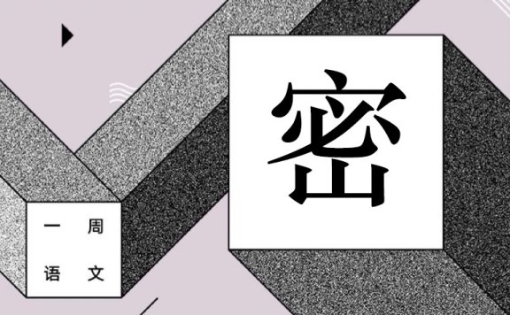 植树节，种了两瓣蒜 作者/黄集伟