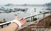 《不过是相思无情》小说完结版精彩试读 莫念晚顾辞安小说全文