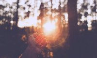 《豪门的逃婚萌妻》沈芊芊南黎辰章节列表在线阅读