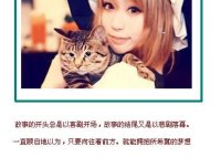 生活,不要比坏