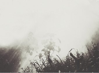 千万别因为图安逸而耽误了前程