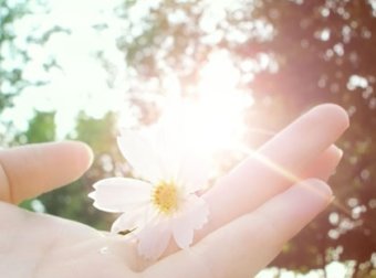 基督圣诞节的主持人台词