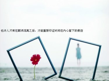 (独家)绝品总裁的极品高手小说