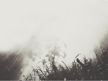 《爵爷的萌宝请签收》小说阅读 宋漪商司爵小说