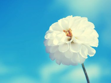 《不过是相思无情》小说完结版精彩试读 莫念晚顾辞安小说全文