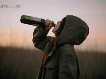《爵爷的萌宝请签收》小说阅读 宋漪商司爵小说