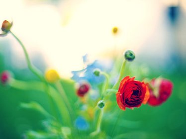 主角名叫沈芊芊南黎辰的小说