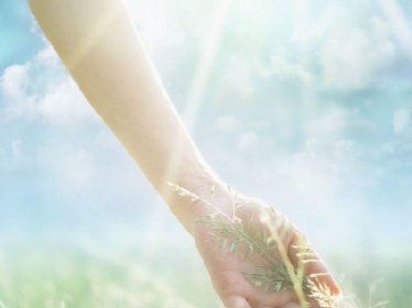 《不过是相思无情》小说完结版精彩试读 莫念晚顾辞安小说全文