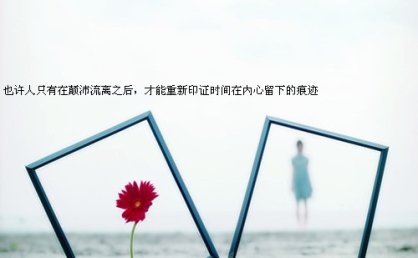 表示梅的诗句有哪些