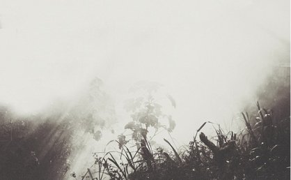 倾国之宝的真相
