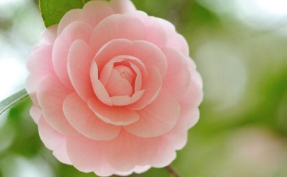 关于中秋节团圆的诗句