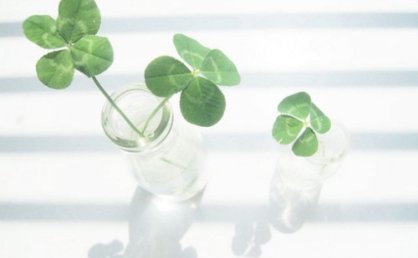 2019最新励志语录