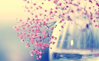 宝贝6岁生日祝福语