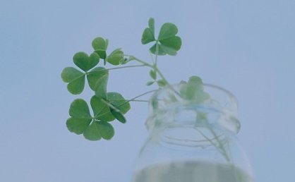 朋友圈说说简短有趣 抖音爆笑文案