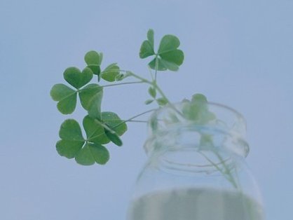 《绝品总裁的极品高手》小说免费阅读 《绝品总裁的极品高手》最新章节目录