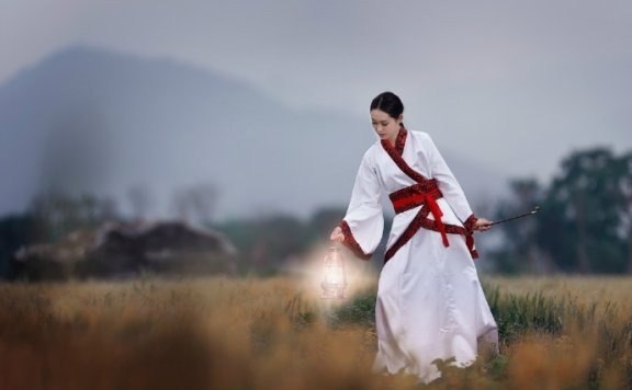 契约老公太腹黑-袁又晴, 凌朝晔-总裁豪门小说