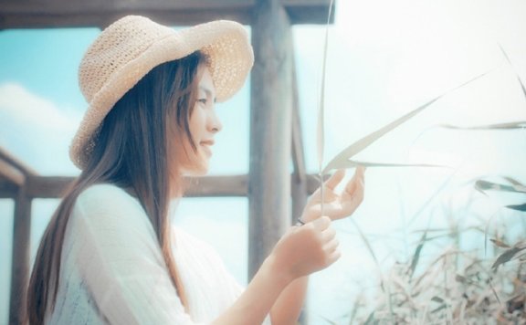 冷少霸爱妻-许芯如, 宁泽珩-总裁豪门小说