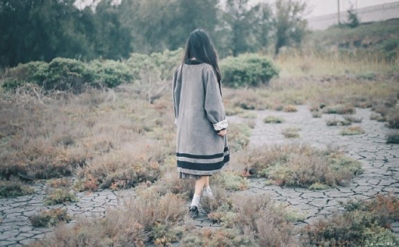 凰途-古代言情小说-主角: 柳轻眉, 景明