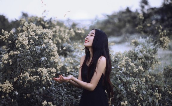 宠妻成瘾：总裁的重生影后 主角: 顾云曦, 江天承